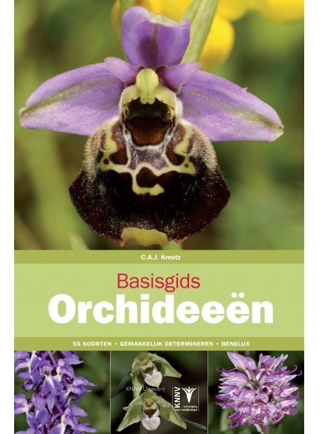 Basisgids Orchideeën
