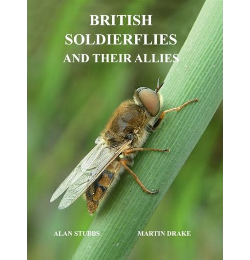 British Soldierflies and their Allies