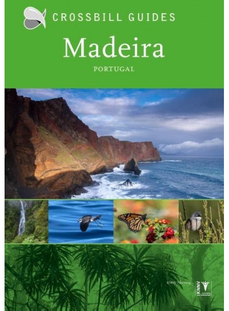 Crossbill: Madeira