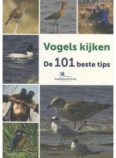 Vogels kijken: De 101 beste tips