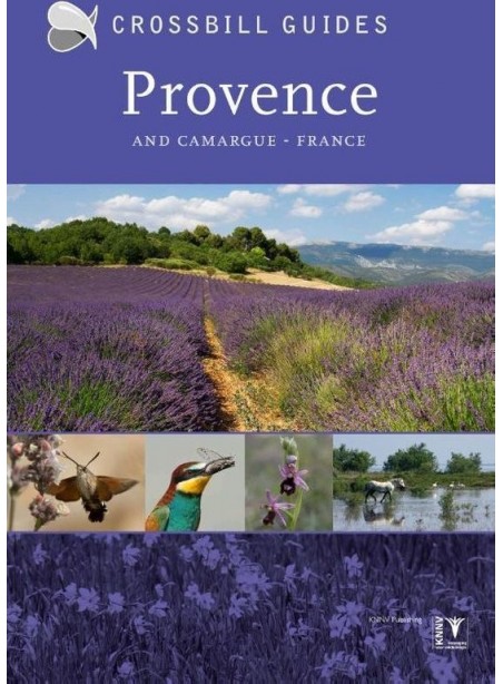 Crossbill: Provence and Camargue -France (engelstalig)